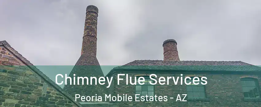 Chimney Flue Services Peoria Mobile Estates - AZ