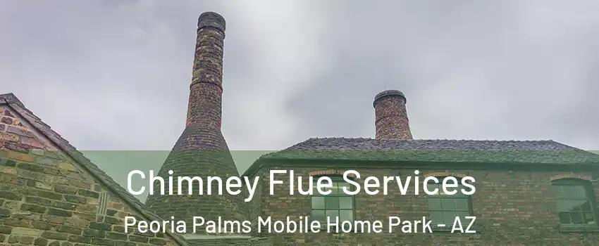 Chimney Flue Services Peoria Palms Mobile Home Park - AZ