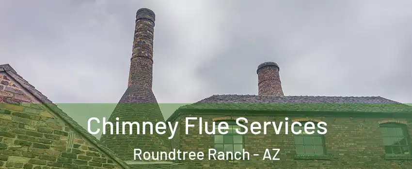 Chimney Flue Services Roundtree Ranch - AZ