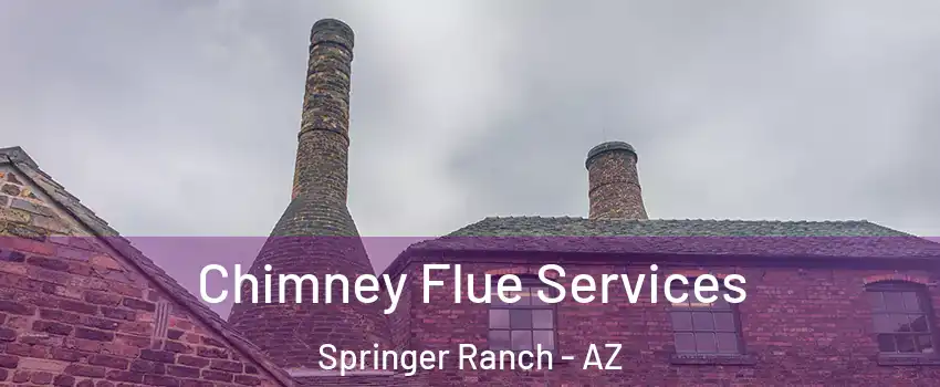 Chimney Flue Services Springer Ranch - AZ