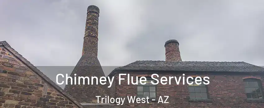 Chimney Flue Services Trilogy West - AZ