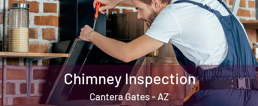 Chimney Inspection Cantera Gates - AZ
