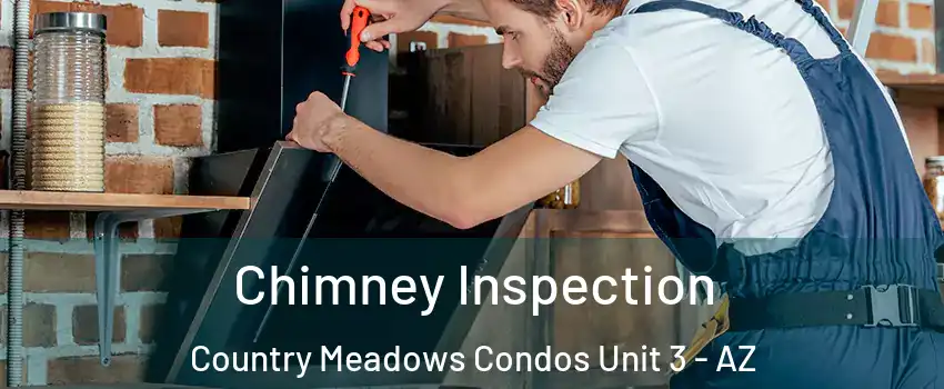 Chimney Inspection Country Meadows Condos Unit 3 - AZ