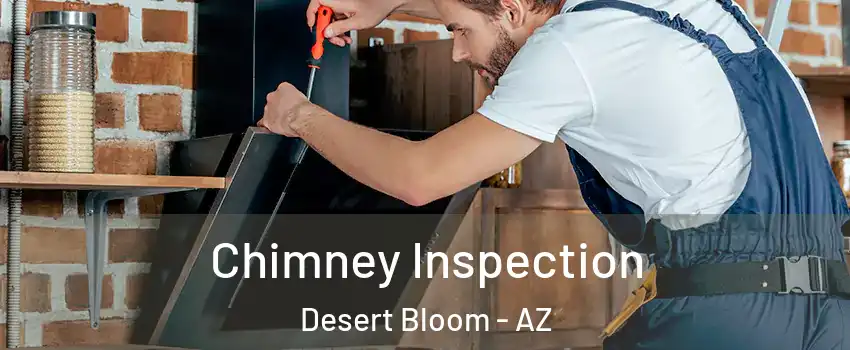 Chimney Inspection Desert Bloom - AZ