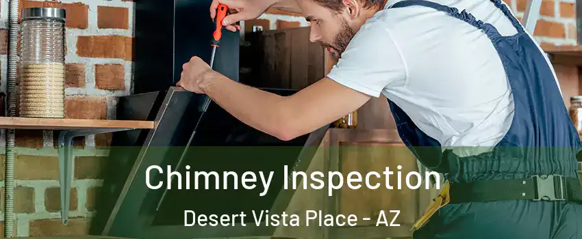 Chimney Inspection Desert Vista Place - AZ