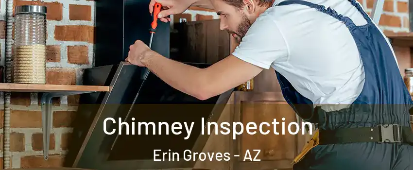 Chimney Inspection Erin Groves - AZ