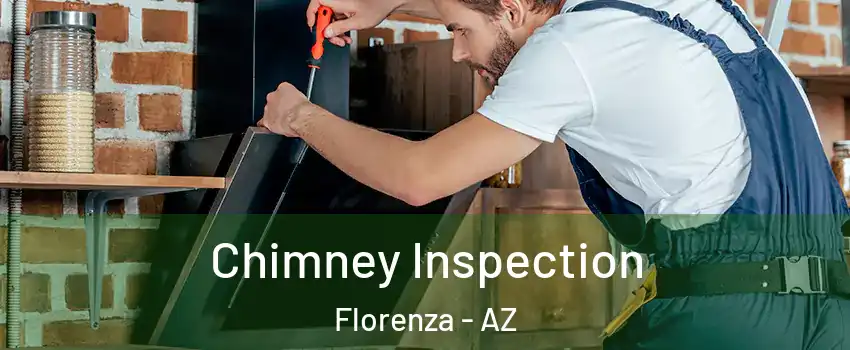 Chimney Inspection Florenza - AZ