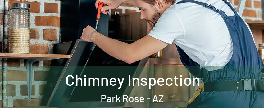 Chimney Inspection Park Rose - AZ