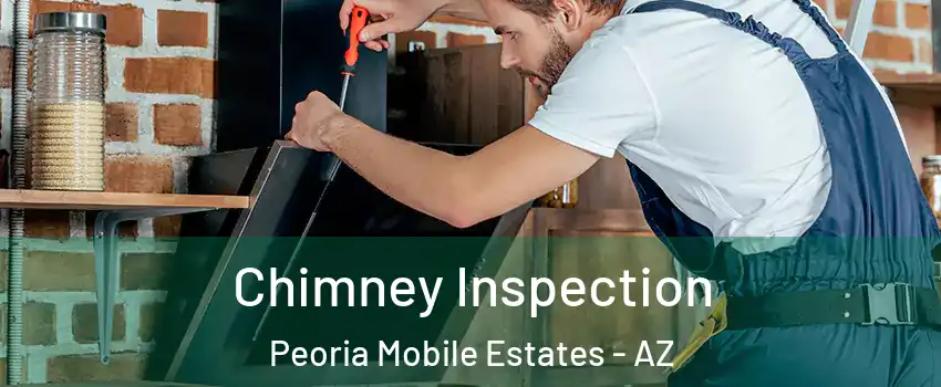 Chimney Inspection Peoria Mobile Estates - AZ