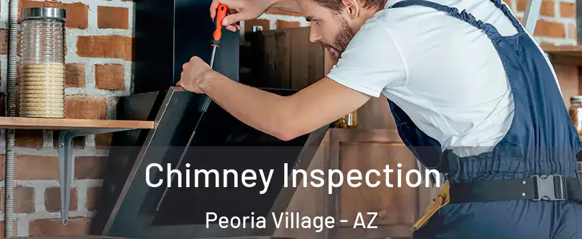 Chimney Inspection Peoria Village - AZ