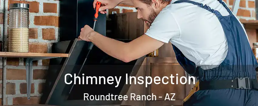 Chimney Inspection Roundtree Ranch - AZ