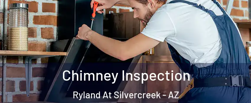 Chimney Inspection Ryland At Silvercreek - AZ