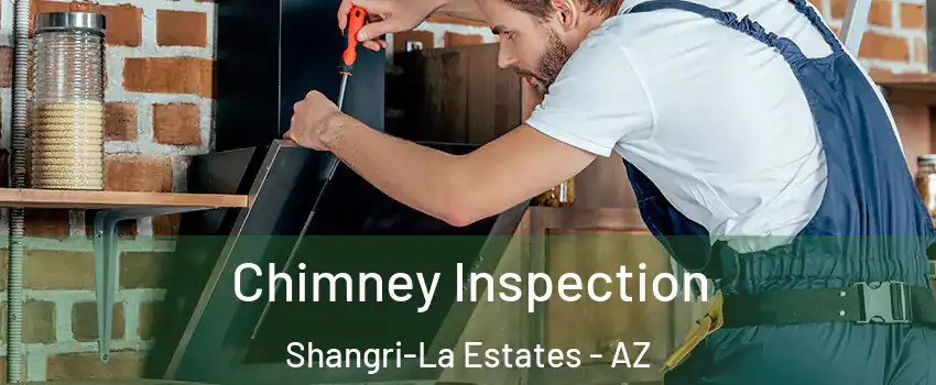 Chimney Inspection Shangri-La Estates - AZ