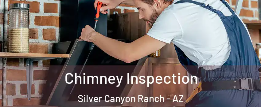 Chimney Inspection Silver Canyon Ranch - AZ