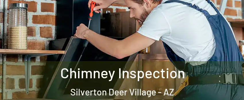 Chimney Inspection Silverton Deer Village - AZ