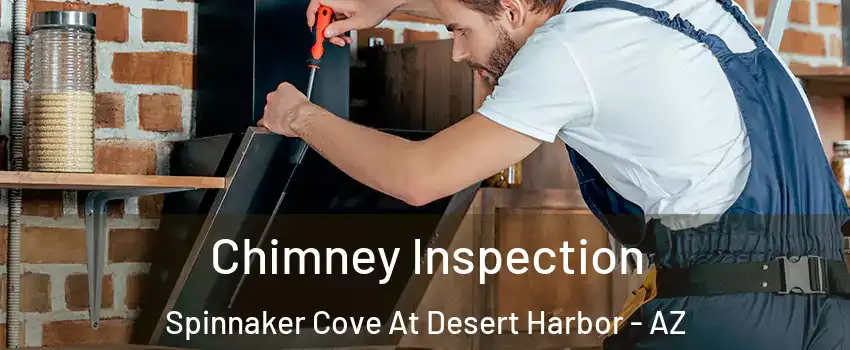 Chimney Inspection Spinnaker Cove At Desert Harbor - AZ