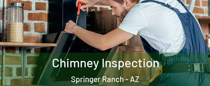 Chimney Inspection Springer Ranch - AZ