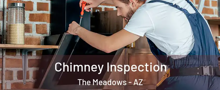 Chimney Inspection The Meadows - AZ
