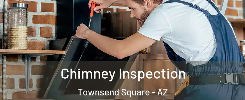 Chimney Inspection Townsend Square - AZ