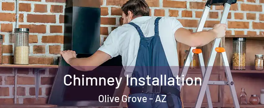Chimney Installation Olive Grove - AZ