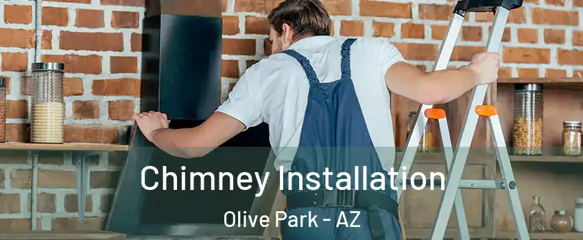 Chimney Installation Olive Park - AZ