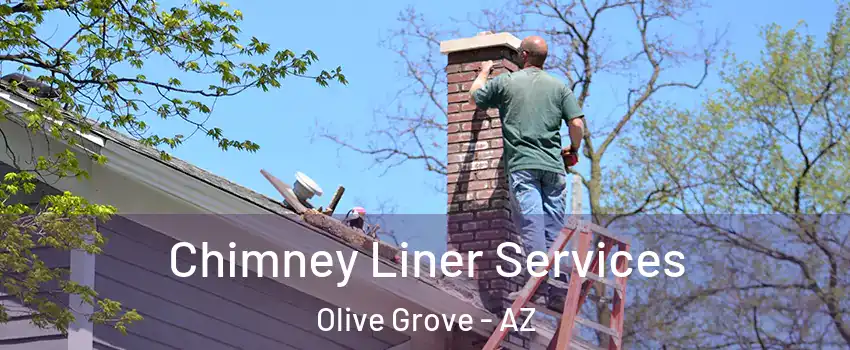 Chimney Liner Services Olive Grove - AZ