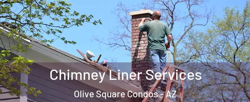 Chimney Liner Services Olive Square Condos - AZ