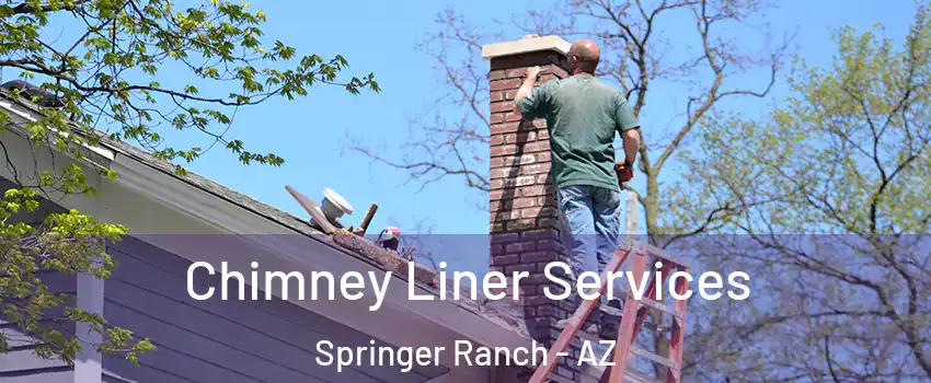 Chimney Liner Services Springer Ranch - AZ