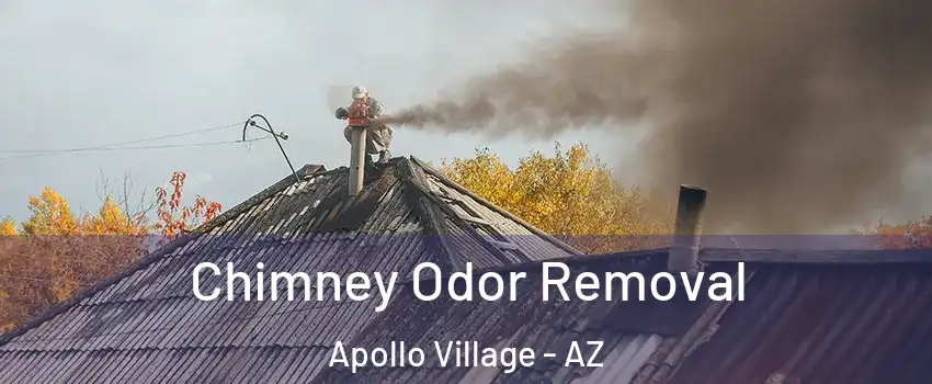 Chimney Odor Removal Apollo Village - AZ