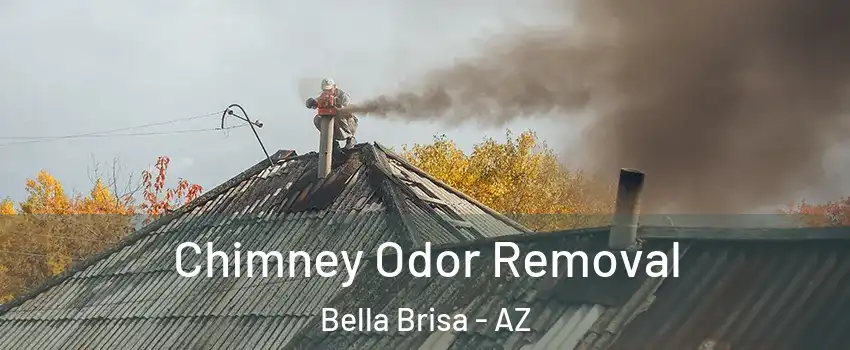 Chimney Odor Removal Bella Brisa - AZ