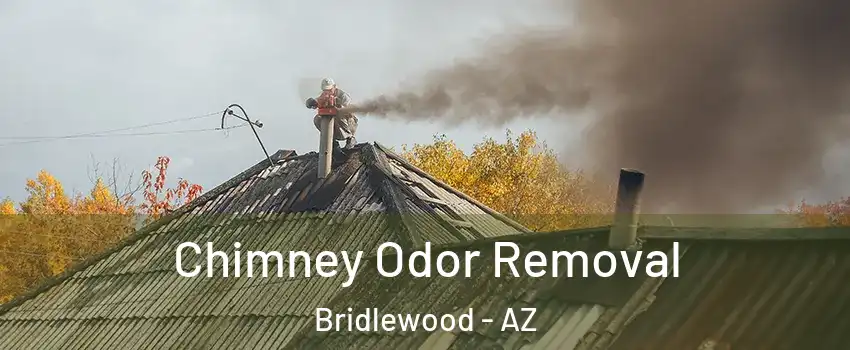 Chimney Odor Removal Bridlewood - AZ