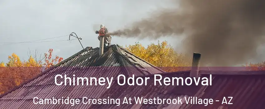 Chimney Odor Removal Cambridge Crossing At Westbrook Village - AZ