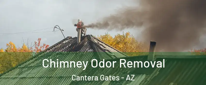 Chimney Odor Removal Cantera Gates - AZ