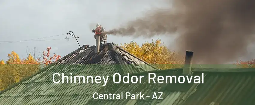 Chimney Odor Removal Central Park - AZ