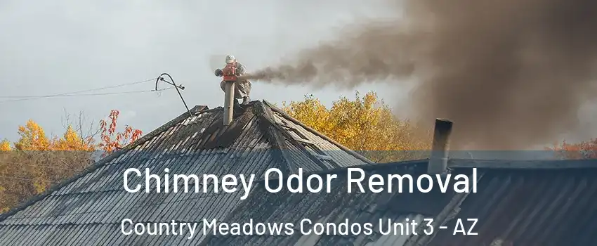 Chimney Odor Removal Country Meadows Condos Unit 3 - AZ