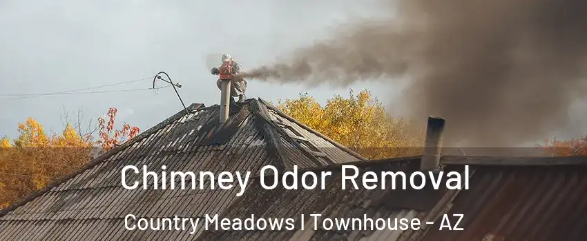 Chimney Odor Removal Country Meadows I Townhouse - AZ