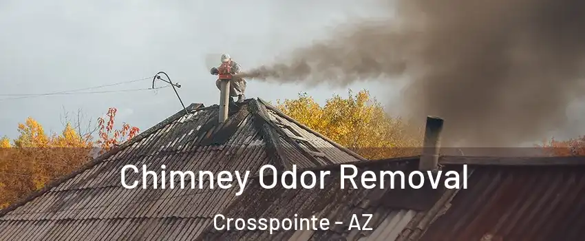 Chimney Odor Removal Crosspointe - AZ