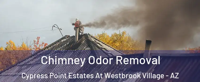 Chimney Odor Removal Cypress Point Estates At Westbrook Village - AZ
