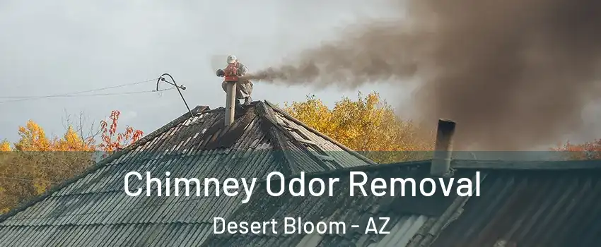 Chimney Odor Removal Desert Bloom - AZ