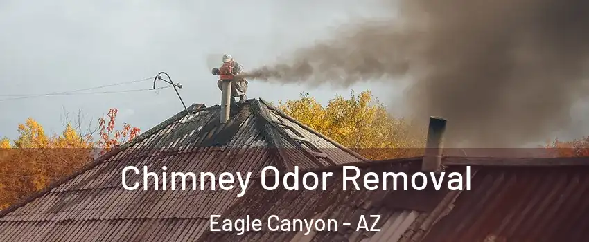Chimney Odor Removal Eagle Canyon - AZ