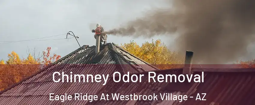 Chimney Odor Removal Eagle Ridge At Westbrook Village - AZ