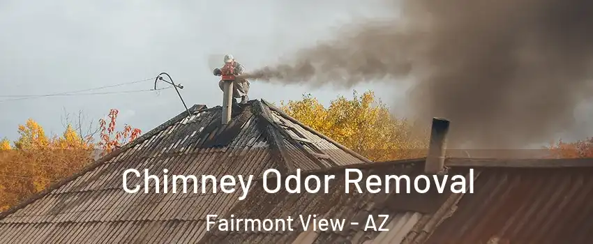 Chimney Odor Removal Fairmont View - AZ
