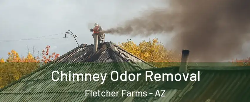 Chimney Odor Removal Fletcher Farms - AZ