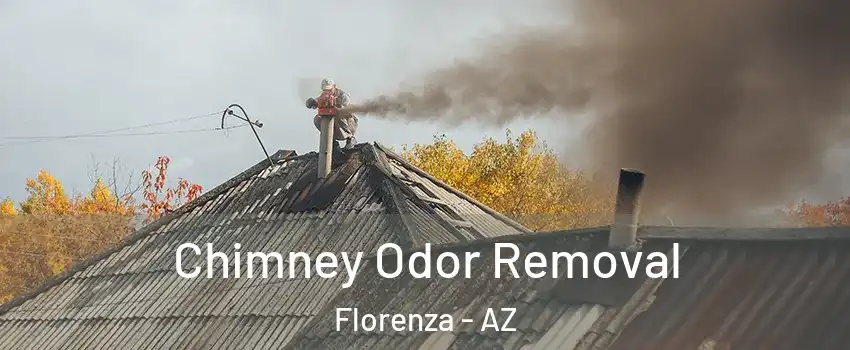Chimney Odor Removal Florenza - AZ