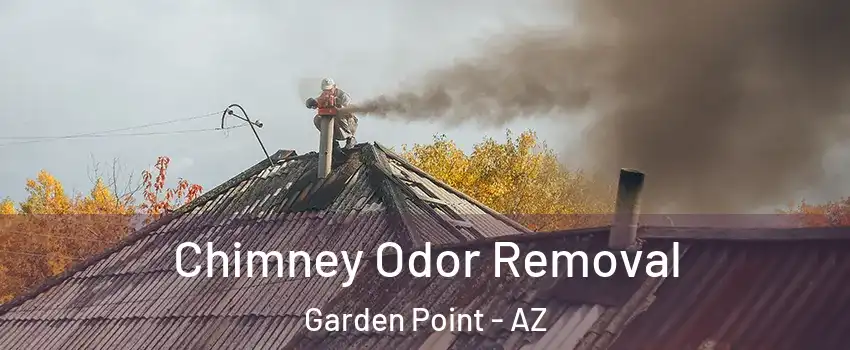 Chimney Odor Removal Garden Point - AZ