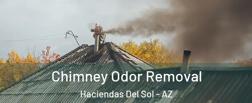 Chimney Odor Removal Haciendas Del Sol - AZ