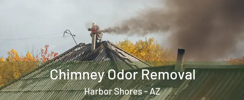 Chimney Odor Removal Harbor Shores - AZ