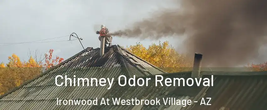 Chimney Odor Removal Ironwood At Westbrook Village - AZ