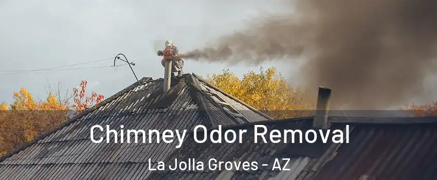 Chimney Odor Removal La Jolla Groves - AZ