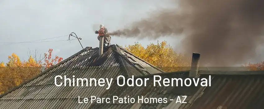 Chimney Odor Removal Le Parc Patio Homes - AZ